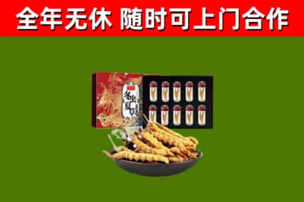 坪山回收冬虫夏草价格