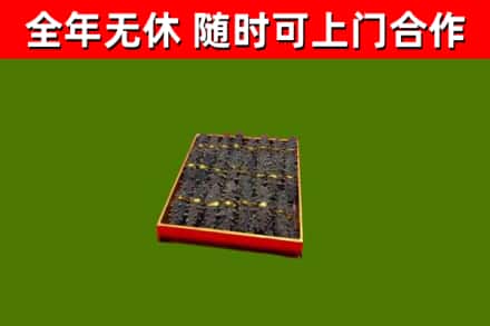坪山回收海参